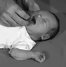 젖 찾기 반사(Rooting reflex)