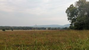 낮은 보스턴 산맥(배경)이 프레리 그로브 전장 주립 공원의 평평하고 풀이 무성한 스프링필드 고원에서 솟아오름 프레리 그로브