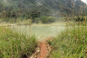 웰컴 플랫에 위치한 천연 온천