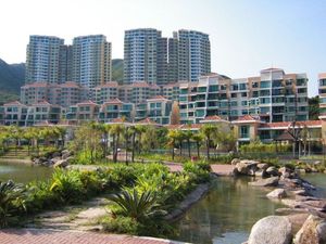 클럽 시에나, 디스커버리 베이