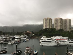 하우스 보트 소유주가 마리나를 비우라는 통보를 받기 전의 DBMC