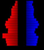 2000년 인구 조사를 바탕으로 한 웹스터 군의 인구 피라미드