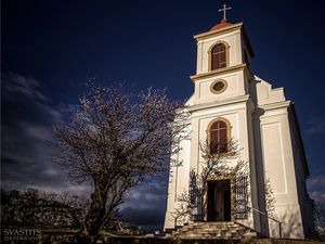 페치의 스노우 힐의 아몬드 나무