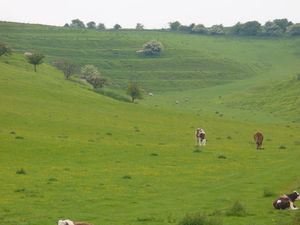 린체트는 고고학적 유구의 한 유형으로, 언덕 측면에 형성된 테라스이다.