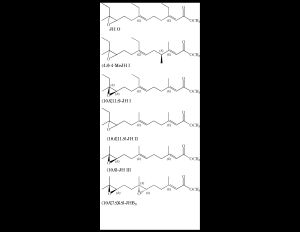 알려진 유충 호르몬들의 화학 구조