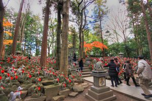 도요카와이나리의 여우(아이치현)