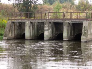 하수 처리장은 폐수에서 영양분과 오염 물질을 제거하기 위해 다양한 공정을 사용한다.