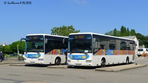 초기 이리스버스 크로스웨이