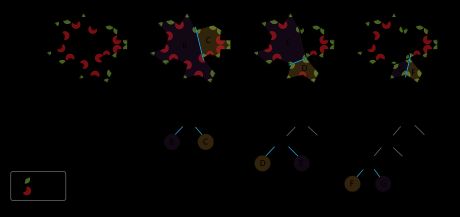 1. A는 트리의 뿌리(root)에 해당하며 공간상의 모든 다각형을 의미한다.2. A는 B와 C로 나뉜다.3. B는 D와 E로 나뉜다.4. D는 볼록한 다각형 F와 G로 나뉘며, 이들은 트리의 잎(leaf) 노드가 된다.