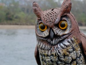 이기리스해안 전경