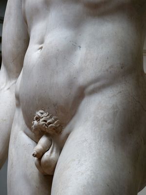 다비드 (1504) by 미켈란젤로