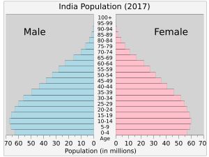 인도의 인구 피라미드(2017년)