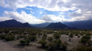 인디언웰스 개발되지 않은 지역의 하이킹 코스