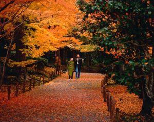 모미지 가리 in 료안지