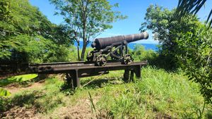 포트 할데인 턴테이블 대포 20231007 