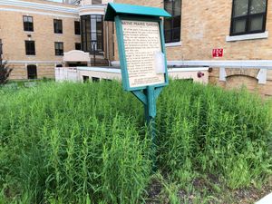 작은 초원 정원