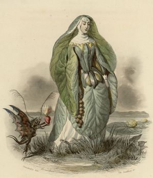 수련 (1846), 생동하는 꽃에서