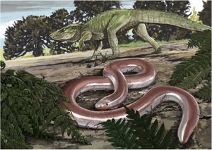 가장 초기의 화석 장님뱀인 보이페바의 삽화