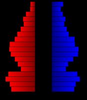 인구 피라미드 (2000년 인구 조사 연령 데이터 기준)
