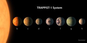 TRAPPIST-1 행성계 (예술가의 상상도)