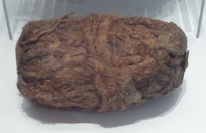 National Maritime Museum Cornwall(2014)에서 수집된 패킷선 Hanover의 난파선에서 발견된 와딩이며 장전된 대포 내부에서 발견됨