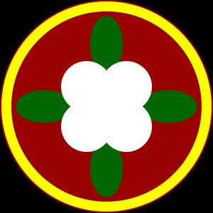 제184원정지원사령부 SSI