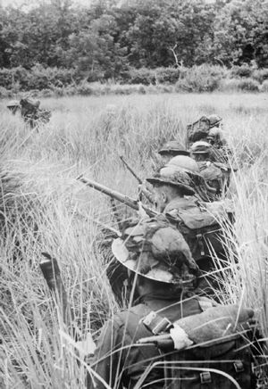 1944년 핀보 주변의 일본군 진지에 접근하면서 논밭을 엄폐물로 이용하는 제2 로열 웰치 퓨질리어 대대 병사들.