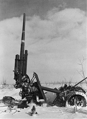 1943년 스탈린그라드 인근에서 소련군 병사가 촬영한 파괴된 8.8 cm Flak 18/36/37/41 대공포