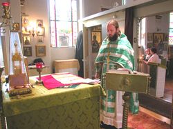 에일리톤}}<i>(적색)과 함께 펼쳐져 있다.