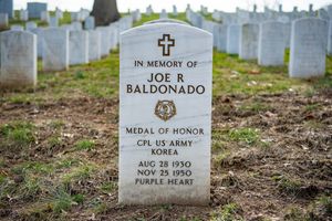 알링턴 국립 묘지의 무덤