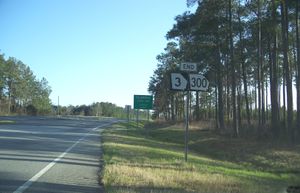 미국 19번 국도를 따라 조지아주 토마스군에서 제퍼슨군으로 진입