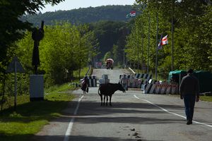 엥구리 다리}} 검문소. 일반 차량은 통행이 금지되어 있다.