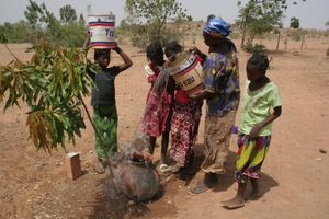 망고 재배 농부