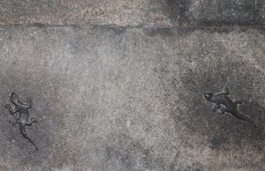 벨로르 요새 내 시바 사원 만다팜 벽에 있는 두 개의 집도마뱀붙이 조각상, 타밀나두, 인도 (2012)