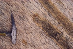 차노카이트. 퀸모드랜드,남극대륙