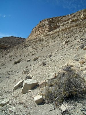 노두는 차카이코 수르 지역의 로스 몰레스와 라하스 층의 노두