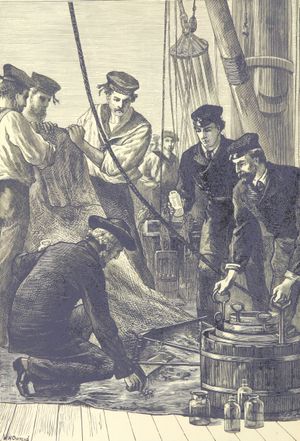 획득한 표본 검사