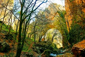 세르비아 동부에 있는 리틀 프레라스트