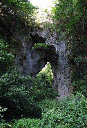 오카야마현아테다이의 라쇼몬