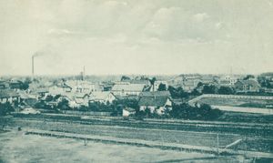 1920년대 체호비체지의치체의 전경