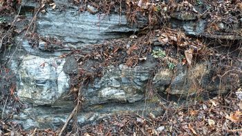 초계분지 남쪽의 경상 누층군 진주층 노두