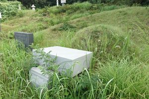 충청남도 보령시 남포면 묘소