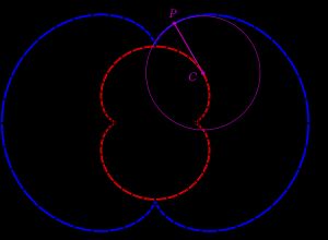 큰 신장형(파란색)의 축폐선은 작은 신장형(빨간색)이다.
