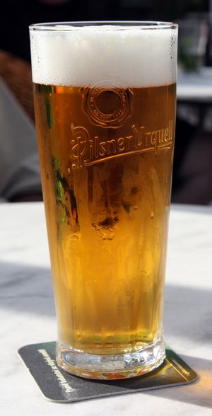 체코 필스너 라거 한 잔