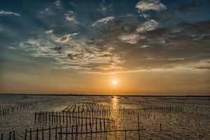 치구 석화 양식장