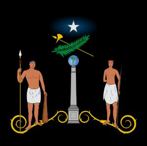 칠레의 첫 번째 국장