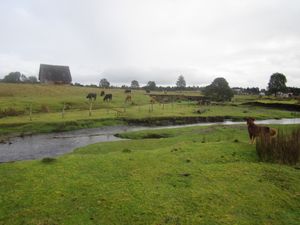몬테 베르데 고고학 유적지, 소 몇 마리와 개, 강, 건물
