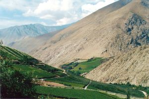 엘키 계곡, 와인 및 피스코 산지