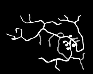 카마스 땅다람쥐 굴