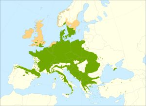 유럽의 너도밤나무(Fagus sylvatica) 분포 지도(녹색)